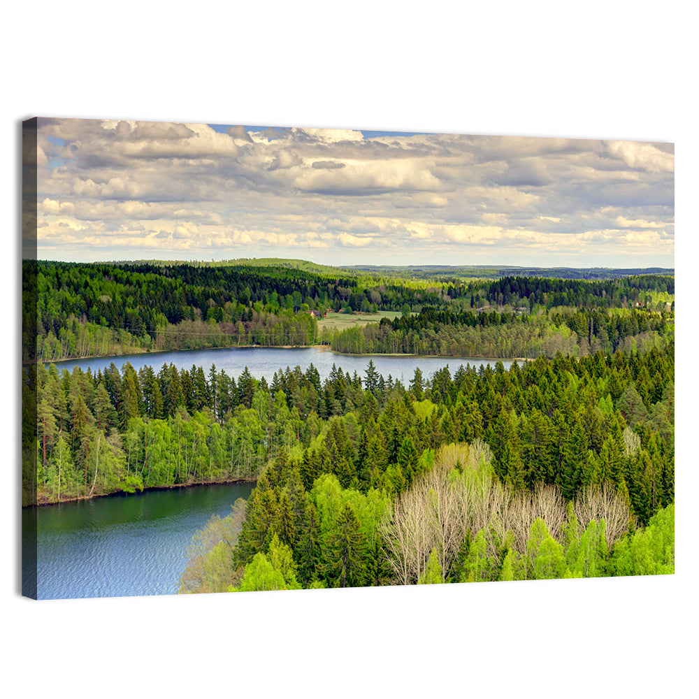 Aulanko Reserve Lake View Wall Art, canvas print, landscape