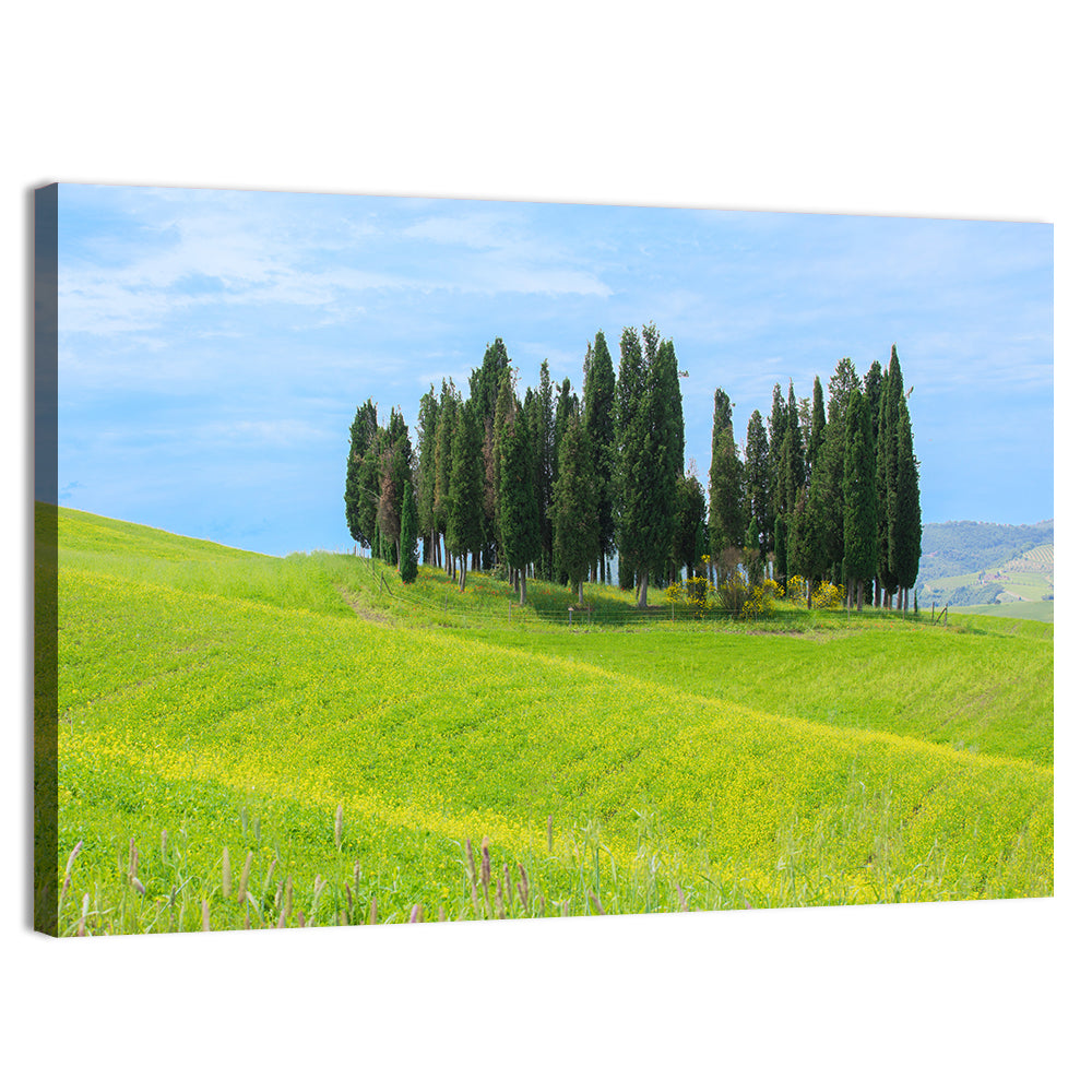 Tuscany Cypress Trees Wall Art