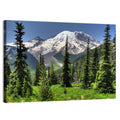 Mount Rainier Framed by Pine Trees Wall Art