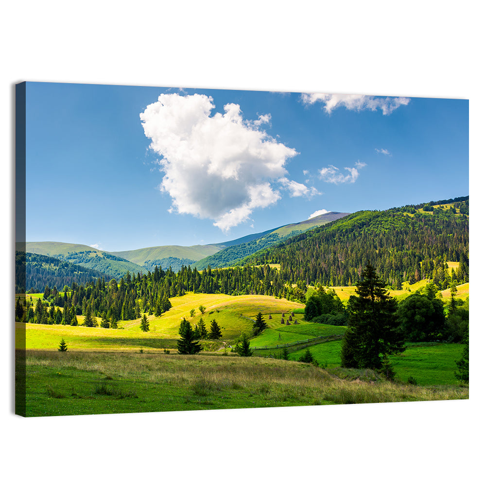 Sunlit Haystacks on Rolling Grassy Hills Wall Art