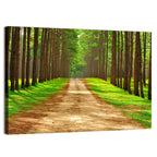 Thailand Pine Forest Path Wall Art