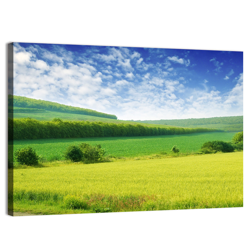 Green Spring Meadow Wall Art, canvas print, landscape