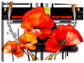 Poppy Closeup Abstract Wall Art