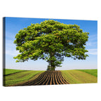 Solitary Tree on Plowed Hill Wall Art