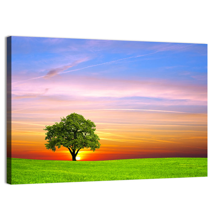 Lone Tree at Sunset Wall Art as a canvas print