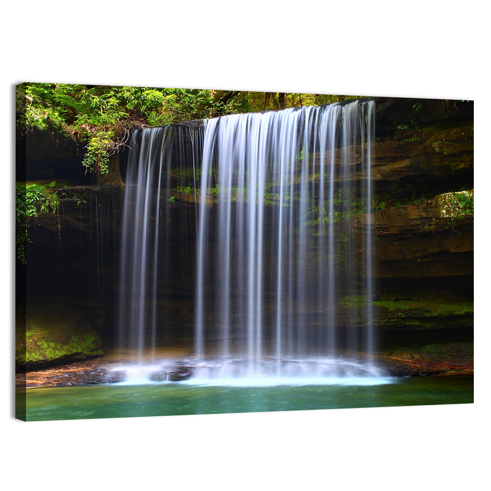 Upper Caney Creek Falls, Mossy Cliff Wall Art