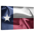 Texas Lone Star Flag Wall Art