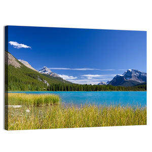 Autumn In Jasper National Park Wall Art