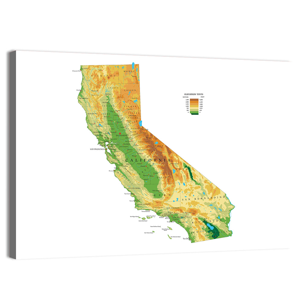 California Topographic Map Wall Art, canvas print, landscape