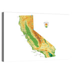 California Topographic Map Wall Art