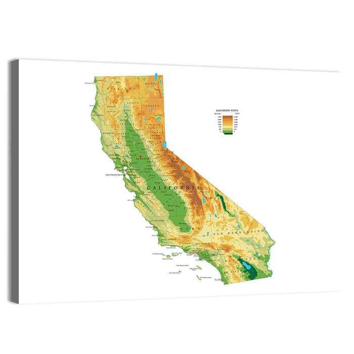 California Topographic Map Wall Art as a canvas print