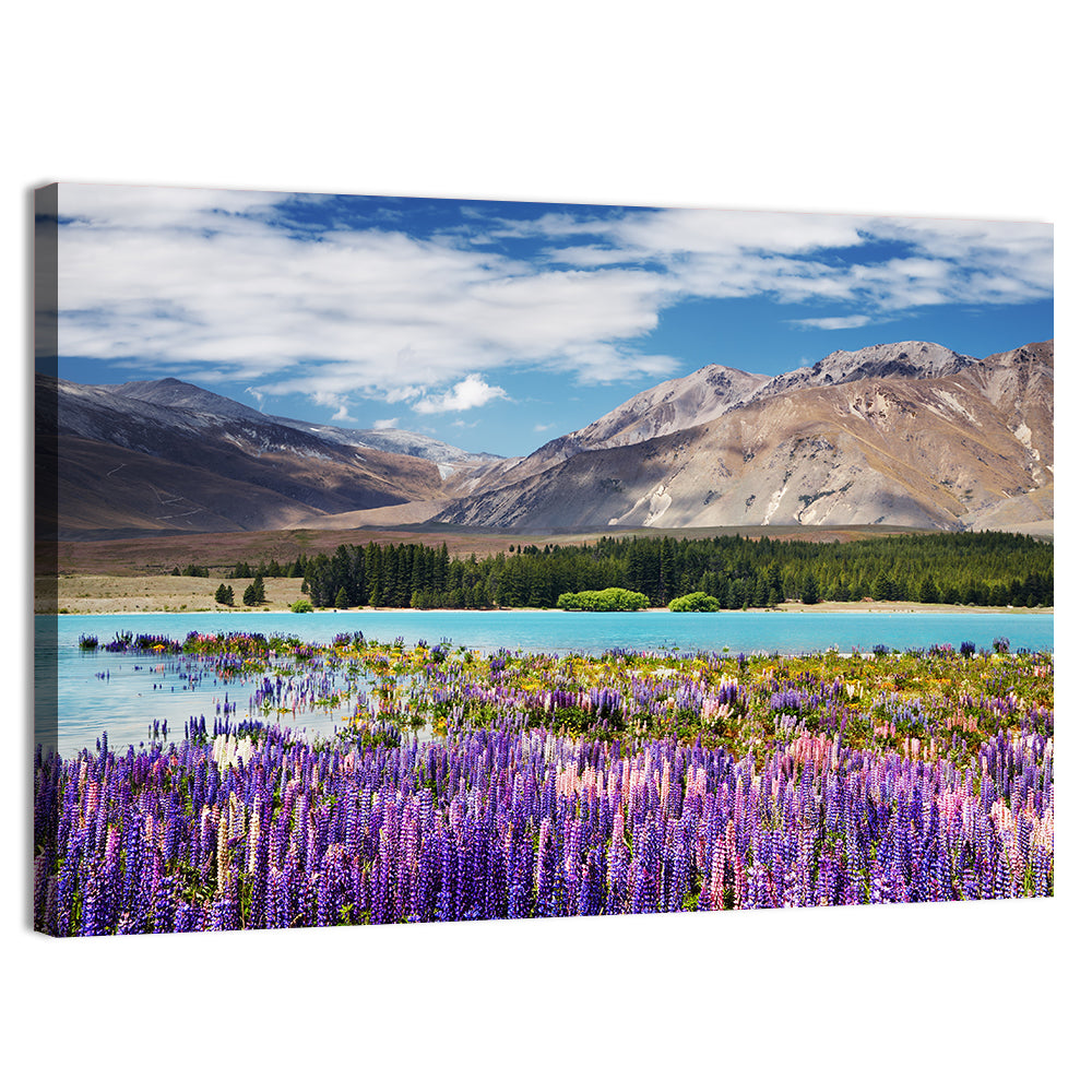 Lupines at Lake Tekapo Wall Art, canvas print, landscape