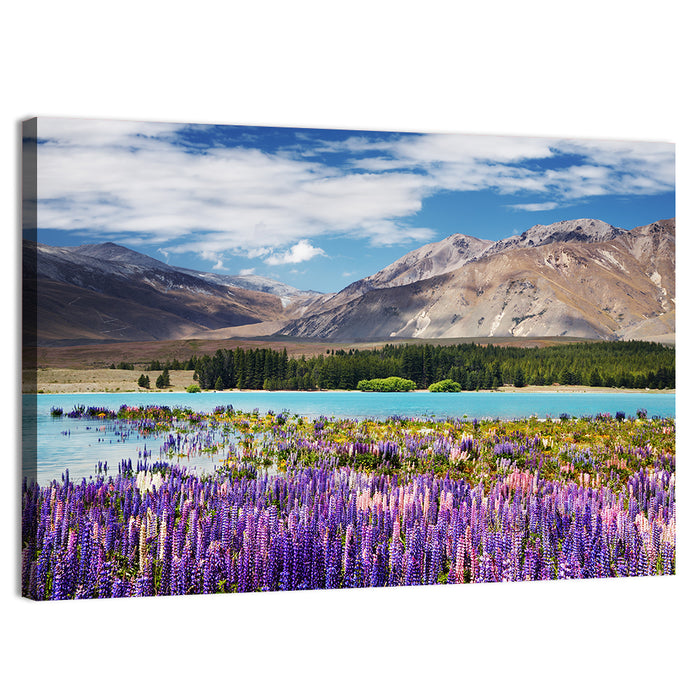 Lupines at Lake Tekapo Wall Art as a canvas print
