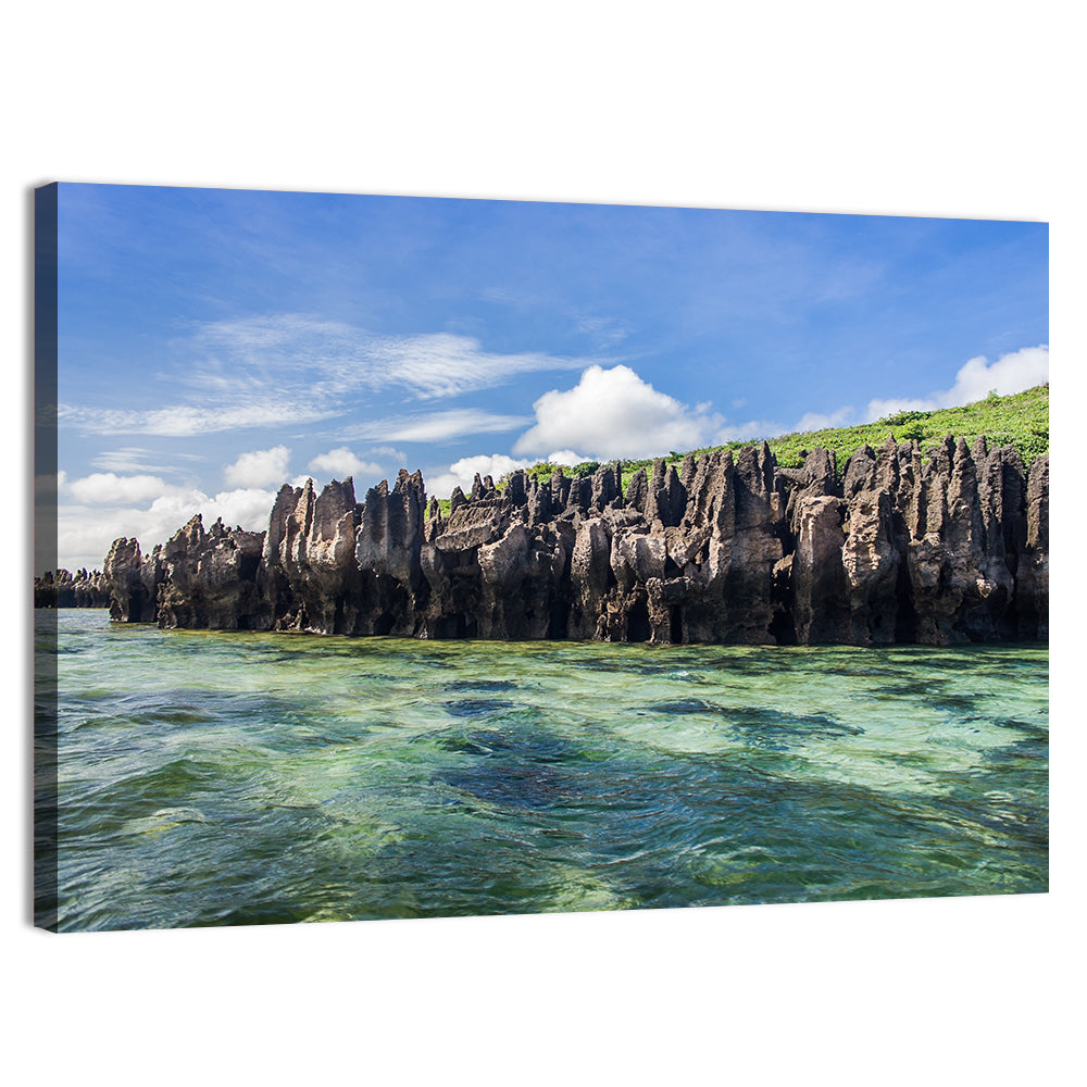 Emerald Sea Coastline, Madagascar Wall Art, canvas print, landscape
