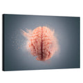 Anatomical Brain with Particles Wall Art