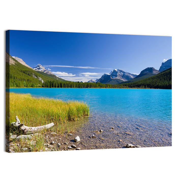 Jasper Lake with Driftwood Wall Art as a canvas print