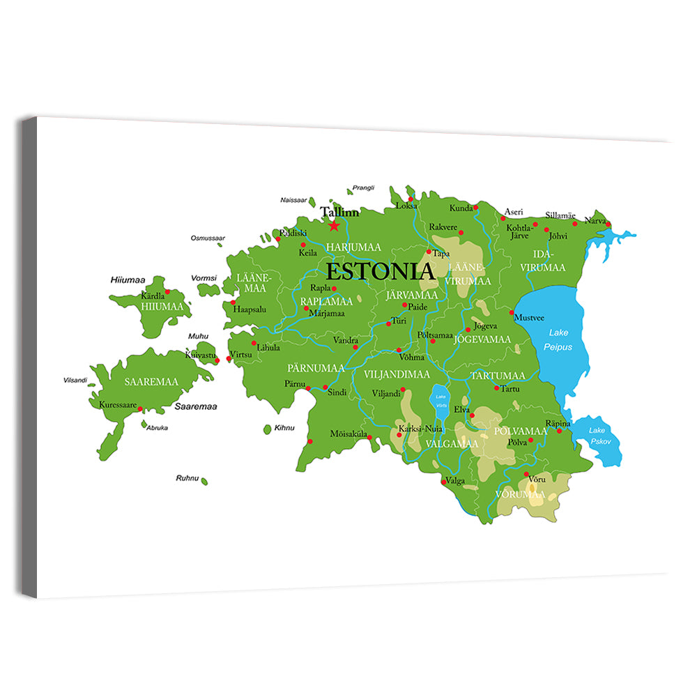 Estonia Physical Map Wall Art, canvas print, landscape