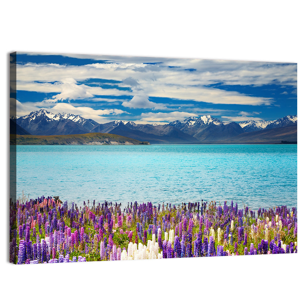 Lake Tekapo Lupines and Mountains Wall Art