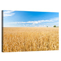 Golden Wheat Field with Blue Sky Wall Art