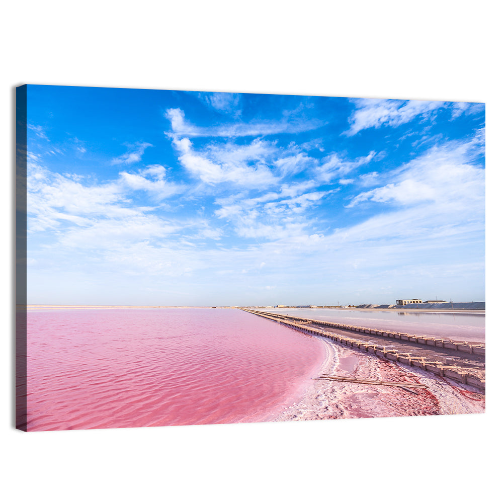 Pink Salt Lake Boardwalk Wall Art