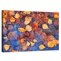 Birch Leaves in Rain Puddle Wall Art