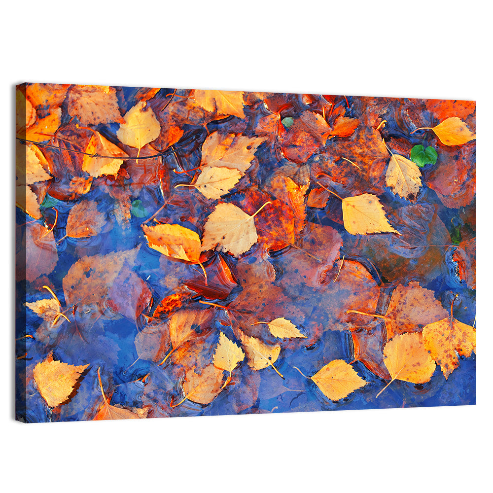 Birch Leaves in Rain Puddle Wall Art, canvas print, landscape