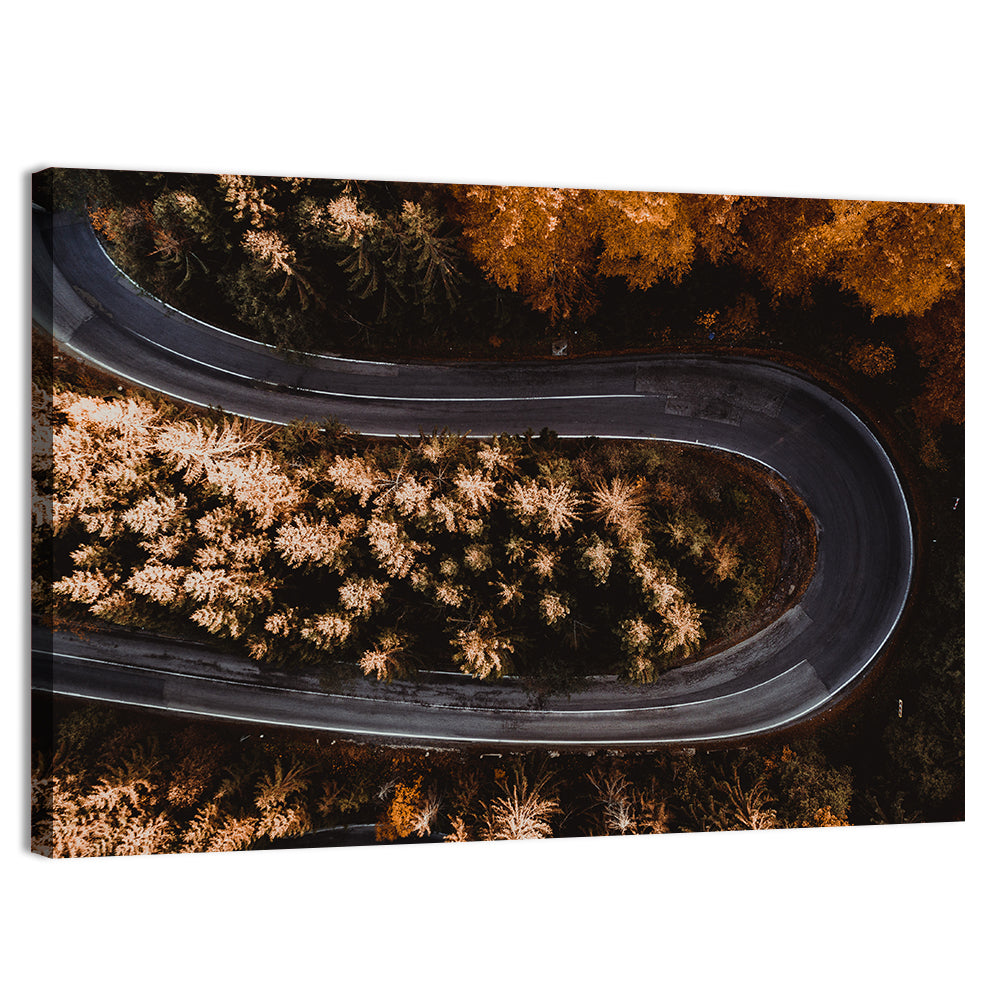 Hairpin Turn in Autumn Forest Wall Art