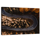 Hairpin Turn in Autumn Forest Wall Art