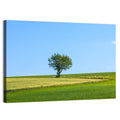 Solitary Tree on Rolling Meadow Wall Art