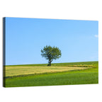 Solitary Tree on Rolling Meadow Wall Art