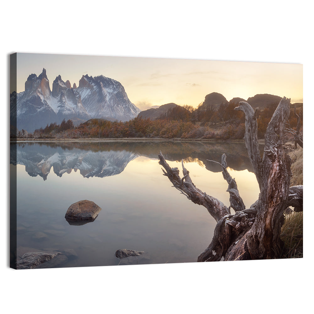 Cuernos Peaks and Driftwood, Pehoe Lake Wall Art
