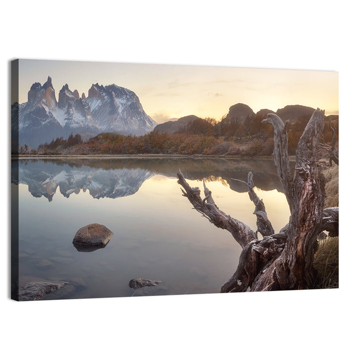 Cuernos Peaks and Driftwood, Pehoe Lake Wall Art as a canvas print