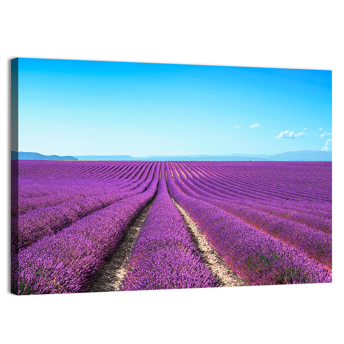 Lavender Flower Fields Wall Art as a canvas print