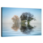 Misty Lake Reflection Wall Art