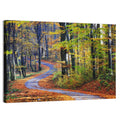Winding Autumn Forest Path Wall Art