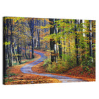 Winding Autumn Forest Path Wall Art