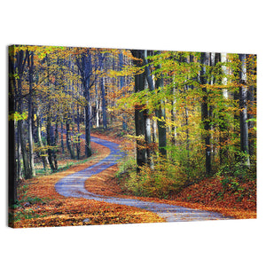 Winding Path Through Autumn Forest Wall Art