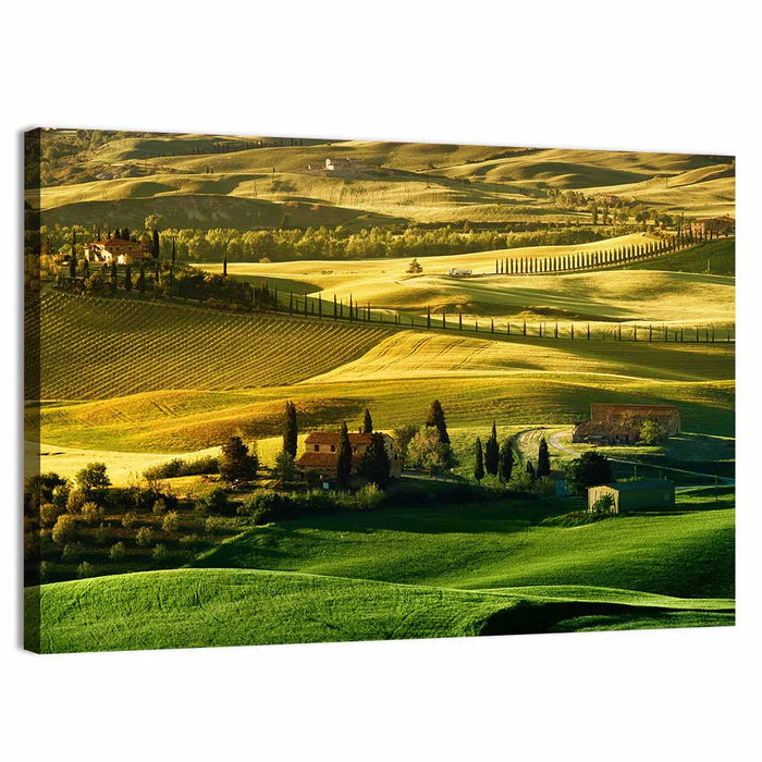 Tuscany Fields at Golden Hour Wall Art as a canvas print
