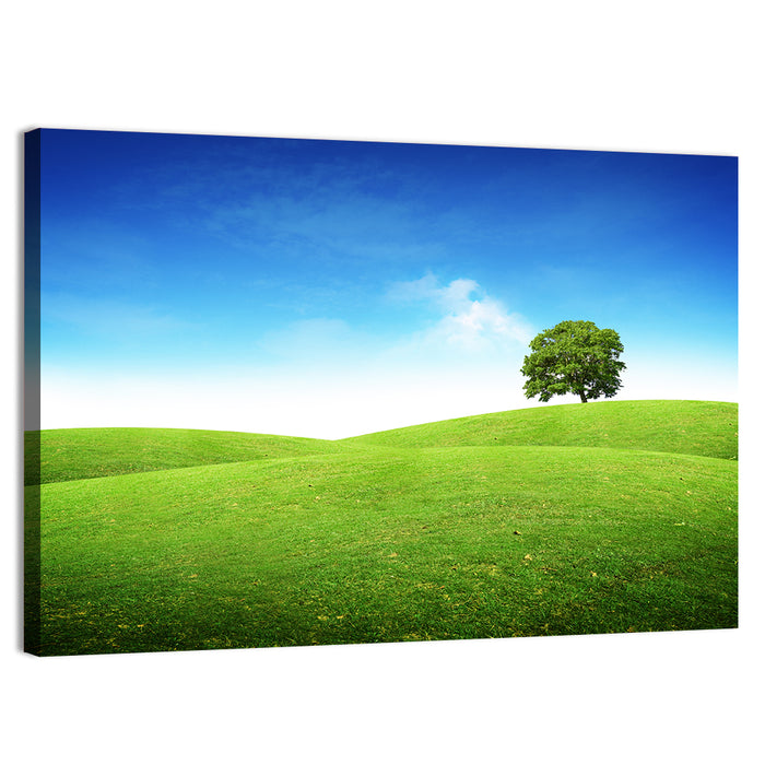Lone Tree on Rolling Green Hill Wall Art as a canvas print