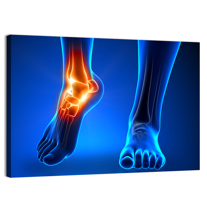 Ankle Anatomy X-ray Study Wall Art as a canvas print