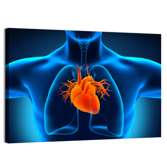 Glowing Heart Anatomy Illustration Wall Art as a canvas print
