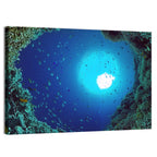Sunlit Coral Reef with Tropical Fish Wall Art