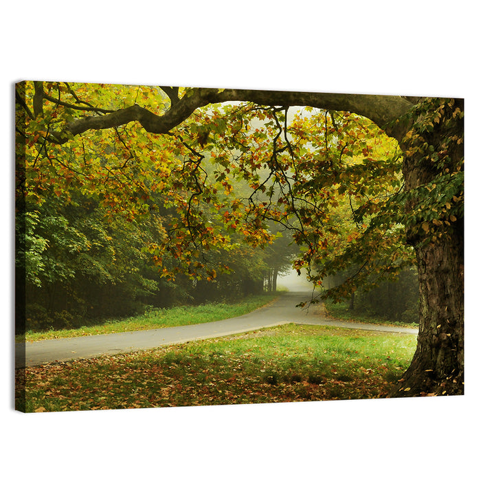Foggy Autumn Forest Path Wall Art as a canvas print