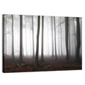 Misty Forest Perspective Wall Art