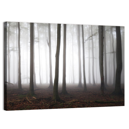 Foggy Forest  Wall Art