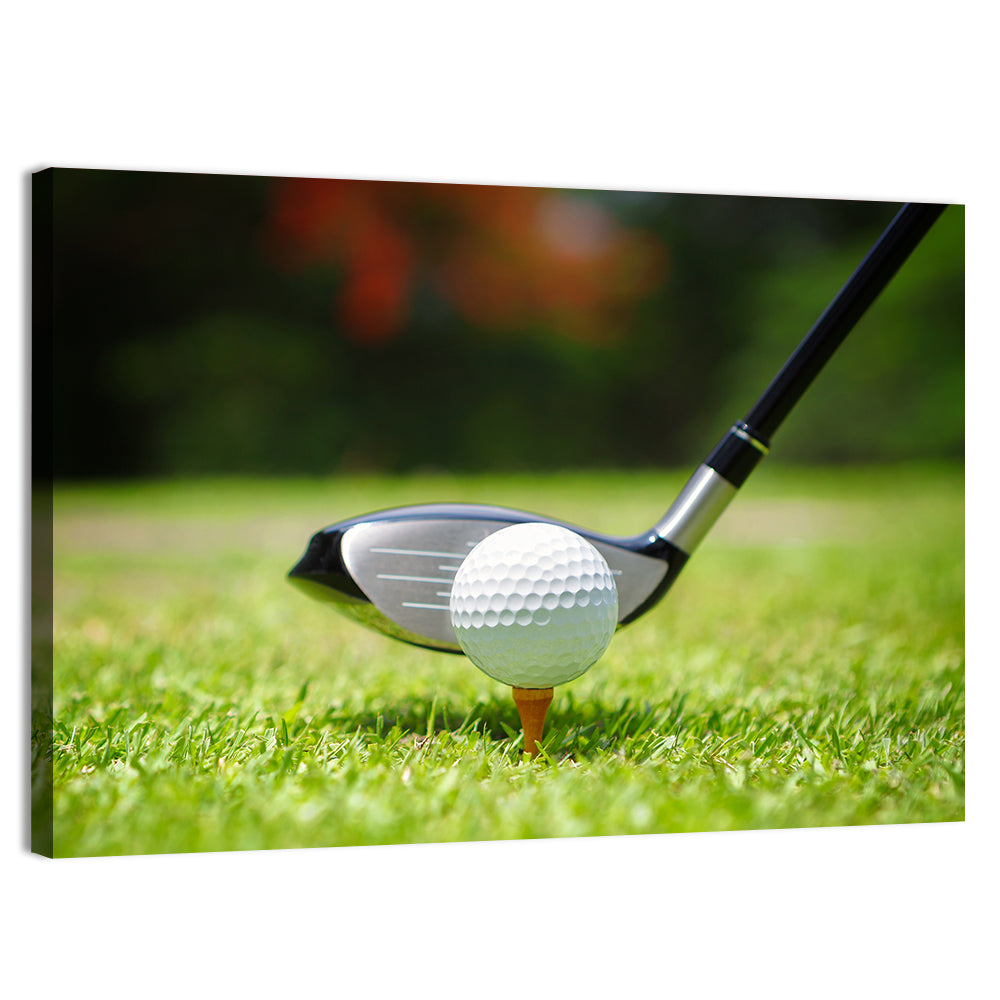 Golf Ball with Driver on Tee Wall Art, canvas print, landscape