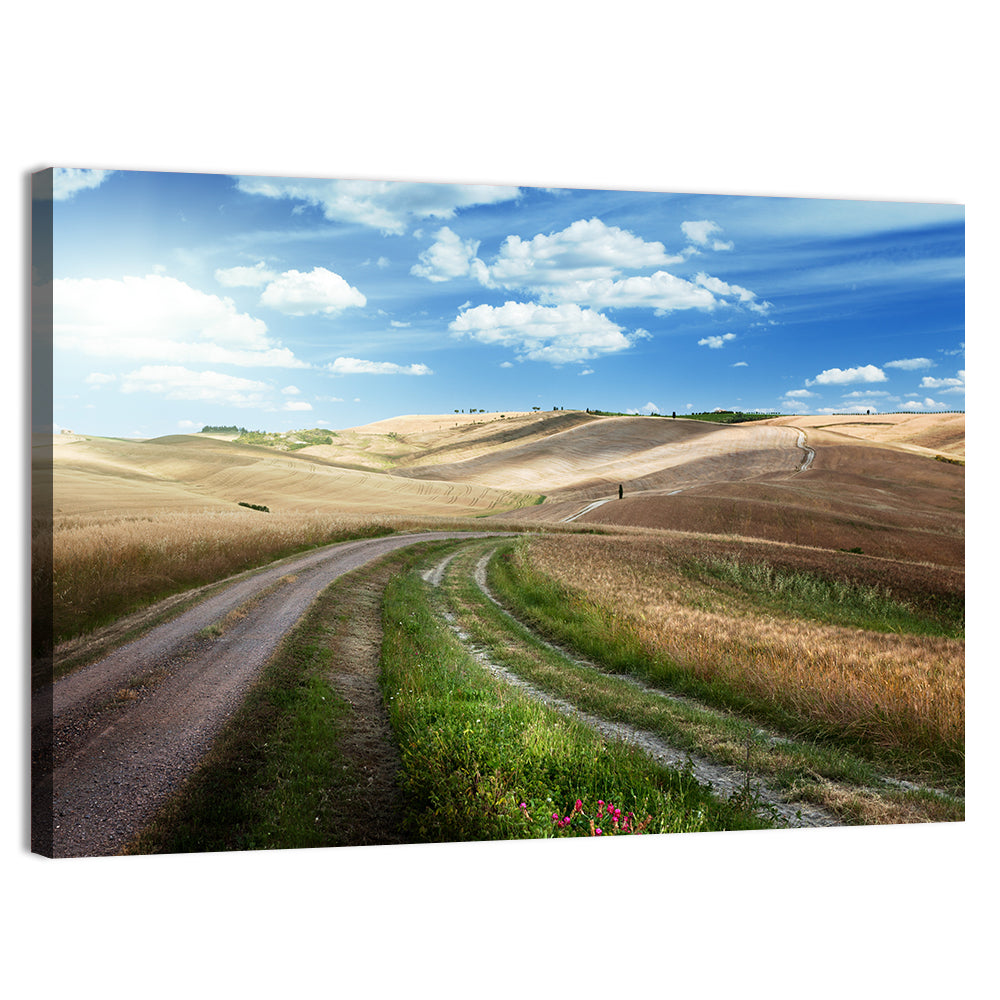 Dirt Road Through Tuscany Wall Art, canvas print, landscape