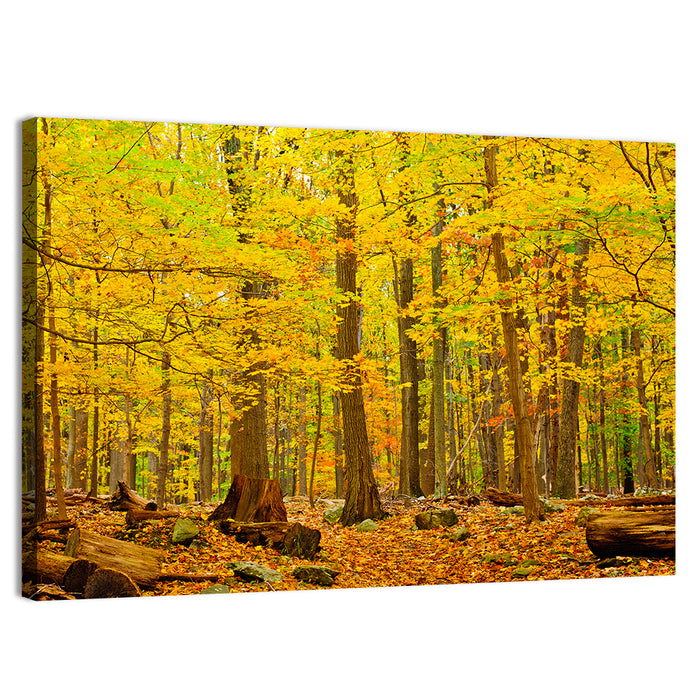 Catoctin Autumn Forest Wall Art as a canvas print