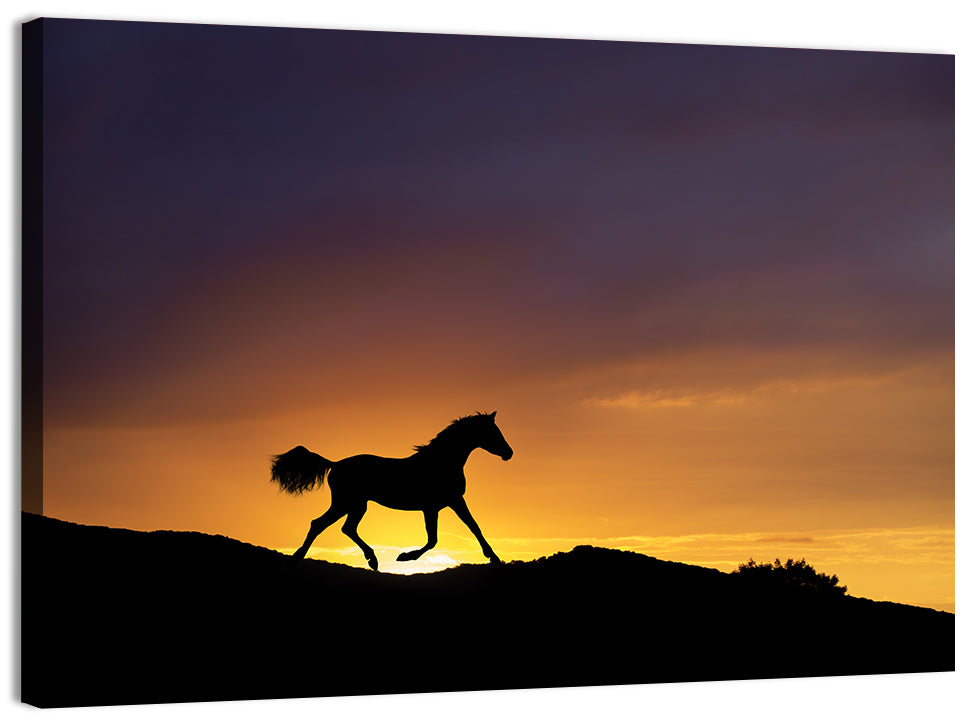 Running Horse Silhouette Wall Art, canvas print, landscape