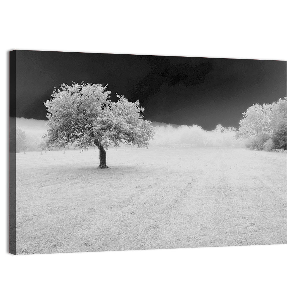 Lonely Tree In Surreal Winter Field Wall Art